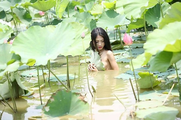 Ngoài ra, cũng còn rất nhiều trường hợp các cô gái trẻ cố gắng khoe thân để được nổi tiếng, như cô gái này, dùng lá sen úp lại phần nhạy cảm của cơ thể. Nhiều người cho rằng cần lên án loại bỏ những hành động này, không để việc cố tình tạo dư luận vấy bẩn loài hoa được mệnh danh là "quốc hoa".