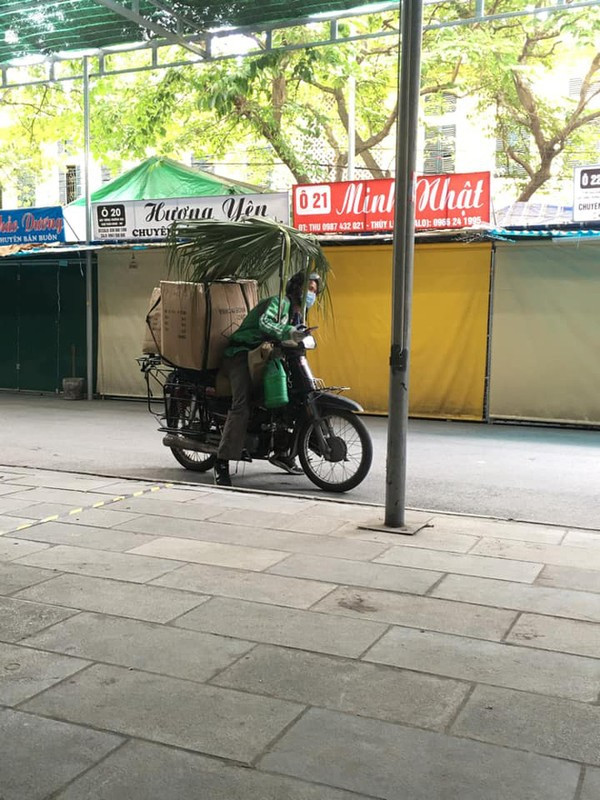 "Cọ xòe ô che nắng, râm mát đường em đi".