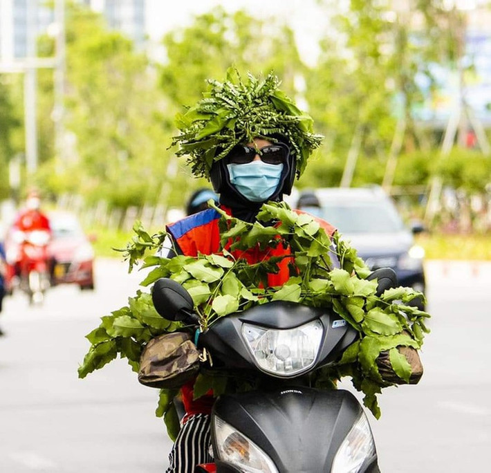 Phương pháp ngụy trang trong đánh du kích ngày xưa của ông cha được áp dụng triệt để trong cảnh hè nắng nóng này.