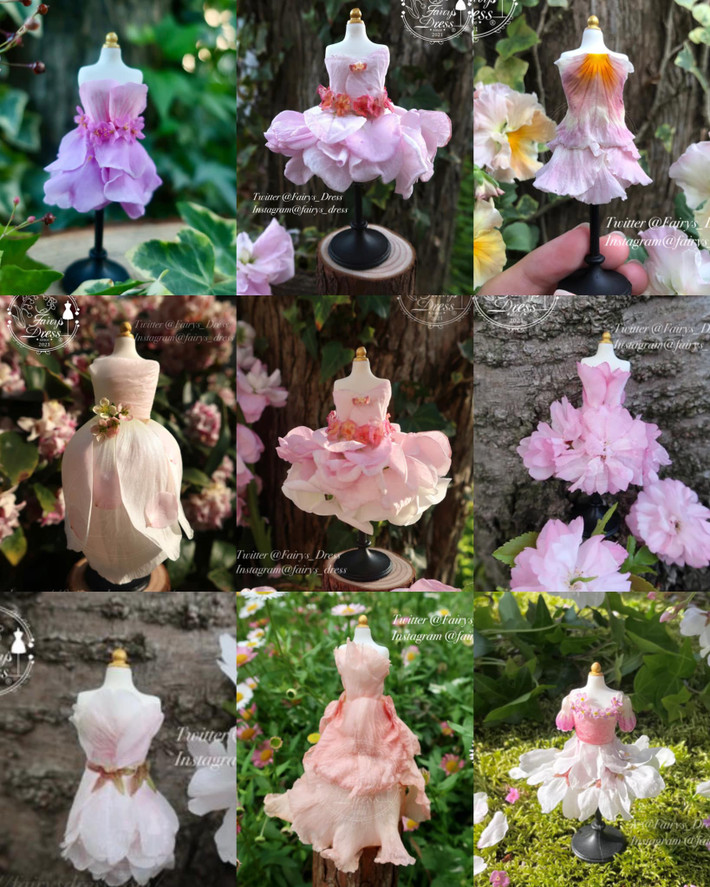 Những bức ảnh về chiếc váy cổ tích được làm từ hoa hồng, dây thường xuân, dừa cạn và cẩm tú cầu lần đầu tiên được tác giả đăng tải lên Twitter nhận được 180.000 lượt thích.