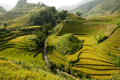 Điểm đến ruộng bậc thang Mù Cang Chải (Yên Bái) nằm cách Hà Nội khoảng 300 km, nơi đây được biết đến là một trong những địa điểm săn lúa chín thơ mộng nhất, thu hút nhiều nhiếp ảnh gia và khách du lịch nhất.