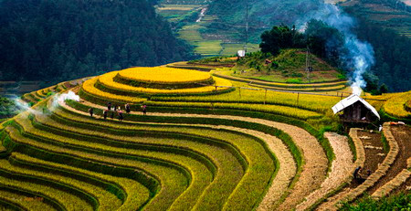 Nhìn bao quát khung cảnh từ trên cao, Mù Cang Chải đẹp như một bức tranh thủy mặc. Nơi đây có độ cao trung bình trên 1.000 m so với mực nước biển, và là thành quả hội tụ các giá trị văn hóa truyền thống của đồng bào H'mông ở vùng cao