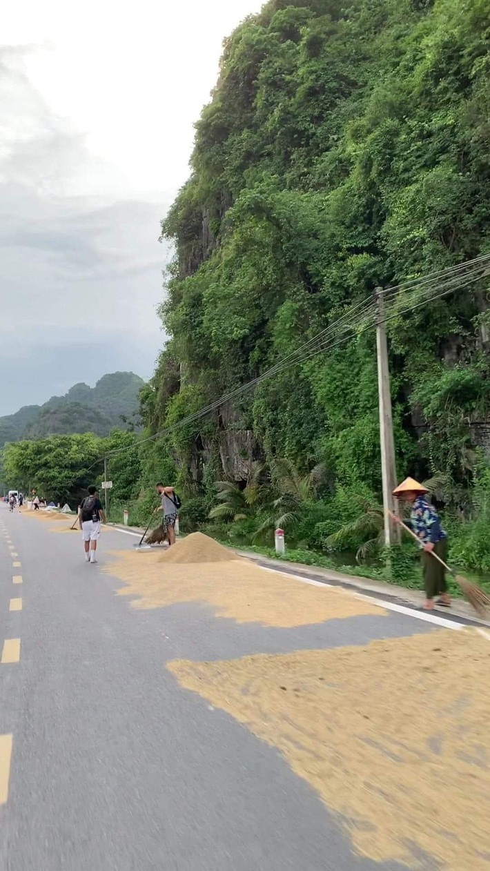 Người cào lúa, người quét, đoàn khách Tây chẳng nề hà gì mà cực nhiệt tình.