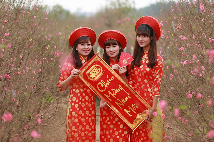 Được biết, vé vào cửa các vườn hoa tại đây là 50.000 đ/người (không giới hạn thời gian).