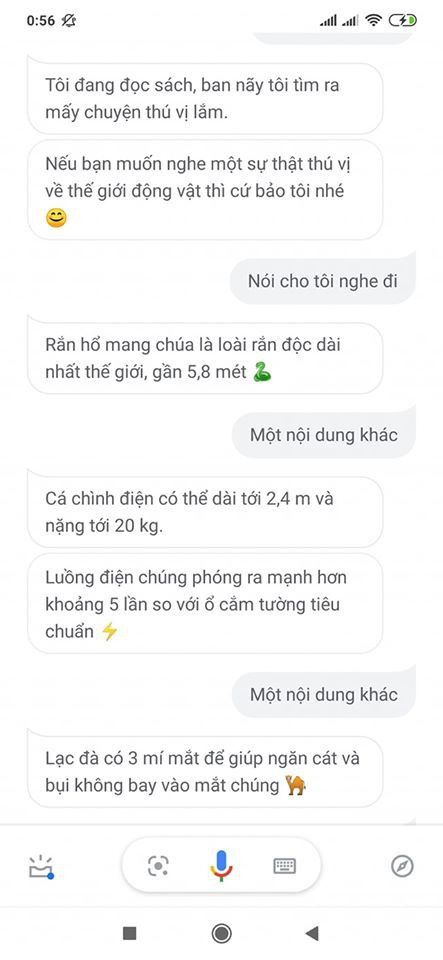 Không chỉ là người bạn tâm sự, "trợ lý Google" còn hiểu biệt cực sâu rộng từ tâm sự tuổi mới lớn đến thế giới động vật,...