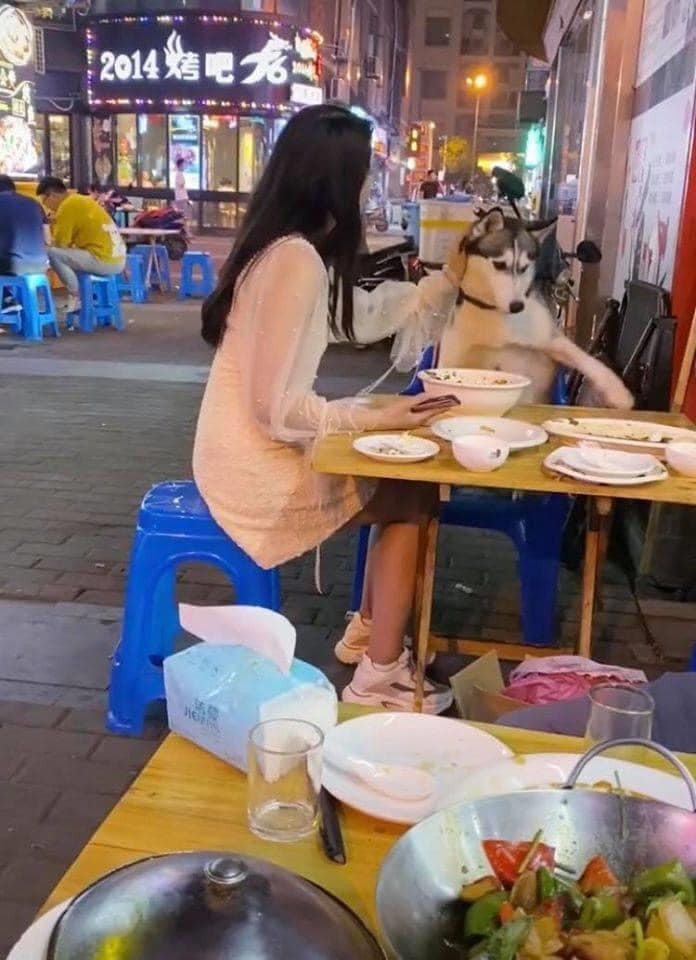 Chủ nó đã cảnh báo cô gái nên cẩn thận khéo gặp nguy hiểm nhưng cô phớt lờ bằng vẻ mặt nhăn nhó.