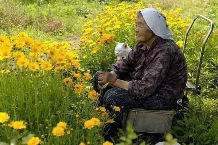 Khoảnh khắc đơn giản nhưng mang lại cảm giác yên bình...