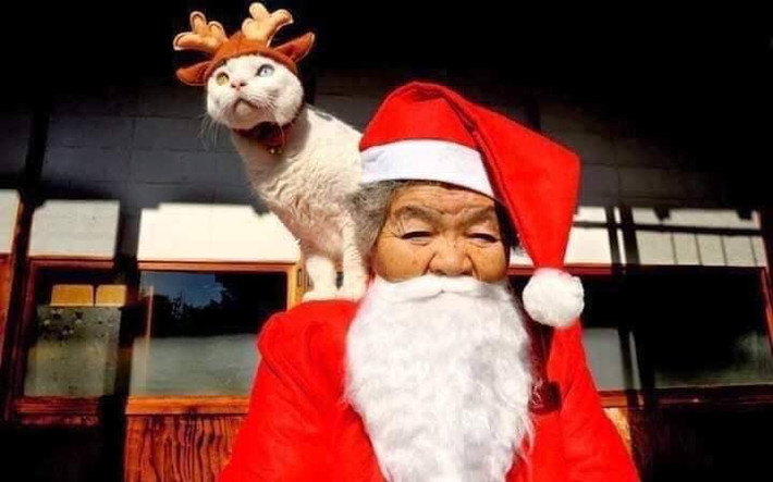 Những hình ảnh đáng yêu của "2 bà cháu".