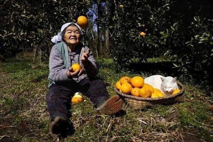Bộ ảnh này được chụp lại bởi Miyoko Ihara, cháu gái của bà cụ Misao. Năm 2012, bộ ảnh trên đã từng gây sốt trên diện rộng, sau đó được xuất bản thành sách ảnh rất thành công.