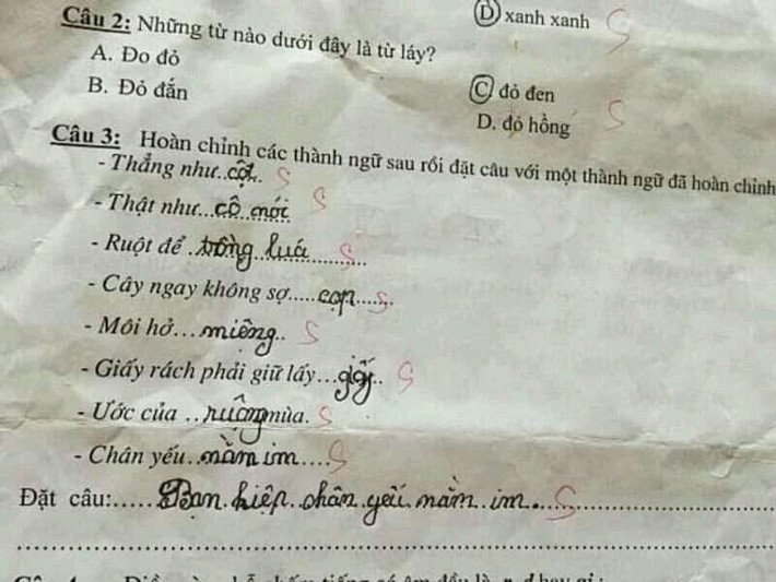 Mới đây, những câu trả lời của học sinh tiểu học trong bài tập điền từ còn thiếu vào các câu thành ngữ được dân mạng thích thú và lan truyền rộng rãi trên các mạng xã hội.
