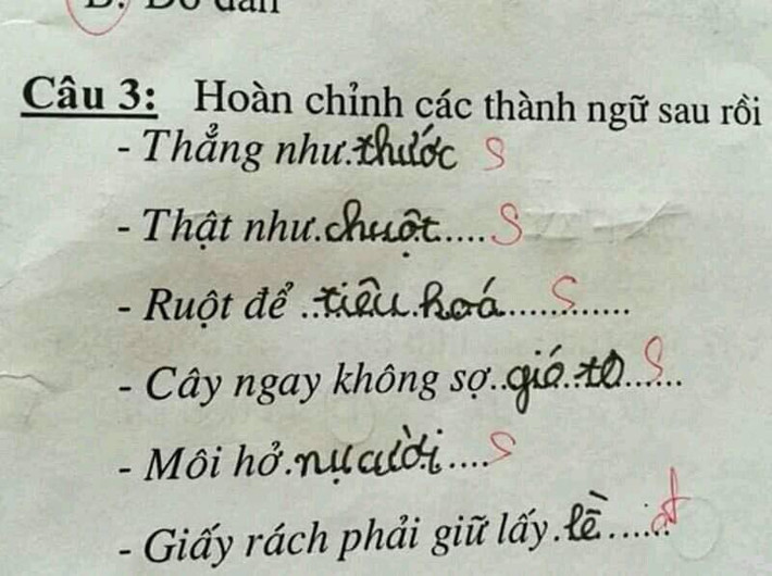 Bên cạnh những bình luận tỏ ra thích thú trước bộ ảnh này, cũng có ý kiến cho rằng cô giáo có vẻ như chưa hoàn thành nhiệm vụ đã khiến cho các em học sinh làm bài sai đồng loạt như vậy.