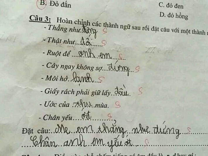 Những ví dụ đặt câu thành ngữ "Chân anh em yếu ớt", "Mẹ em thẳng như đứng" chắc hẳn cũng đã khiến các cô giáo "đứng hình".
