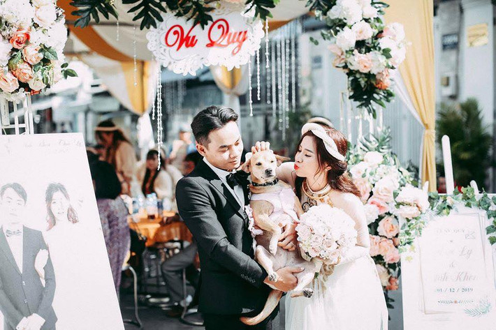 Thực chất, "tuesday" này là chú chó cưng của gia đình. Trong ngày cưới của chủ, chú chó cũng được diện váy áo đẹp đẽ, là nhân vật quang trọng, được chụp ảnh cùng cô dâu chú rể.