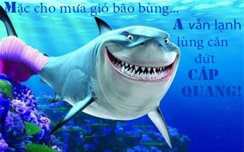 Theo cư dân mạng, hung thủ bị nghi ngờ hàng đầu đó là cá mập.