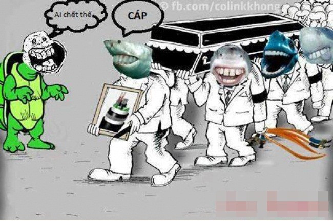 Một bức ảnh chế của cư dân mạng về việc cá mập cắn đứt cáp viễn thông.