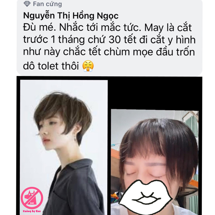 Thấy hình tóc đẹp trên mạng lung linh, cô gái hí hửng mang hình ra tiệm yêu cầu cắt y ảnh và nhận cái kết khiến ai nhìn cũng vừa thương vừa buồn cười. May mắn làm sao do bản tính lo xa, cô nàng cắt trước tận 1 tháng để tóc có thể mọc lại chứ cận Tết mới đi làm mái tóc này thì chắc năm mới chùm chăn đi ngủ mất.