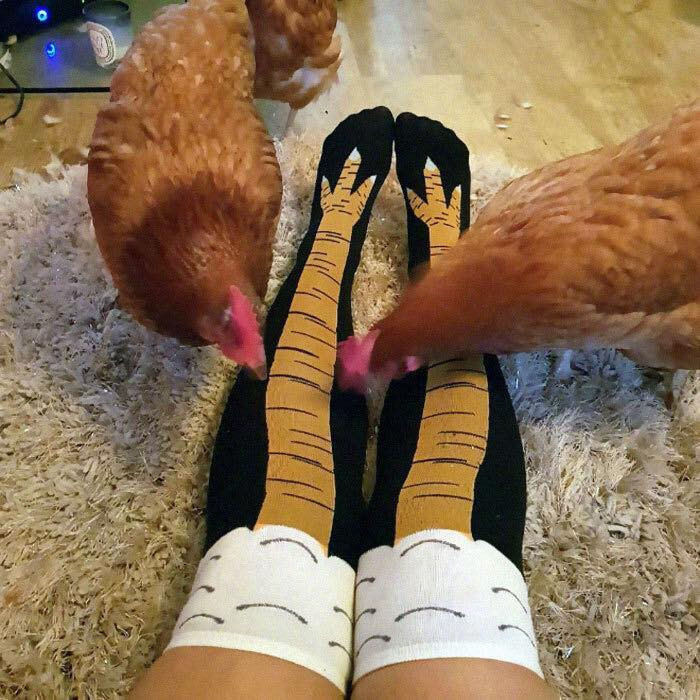 Đôi tất với hình chân gà dù chỉ cao đến đầu gối nhưng đủ để tạo cảm giác "chân thon" cho các chị em khi sử dụng.