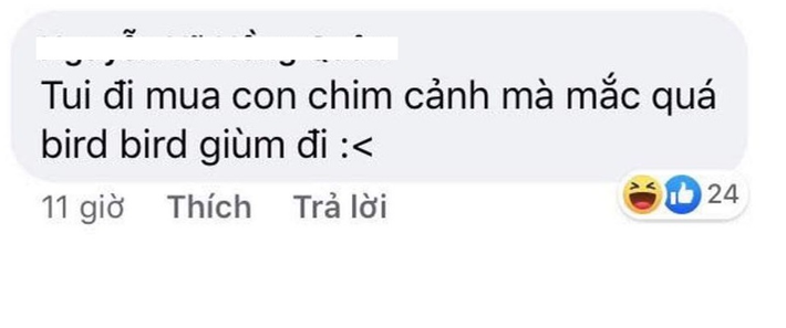 "Không ngờ rằng các bạn lại nghĩ ra được nhiều trò với những câu nói "mặn" như muối biển. Chào thua", "Lúc học thì không thông minh nhưng lúc chơi lại "nảy số" nhanh thế không biết" - Dân mạng hài hước bình luận.