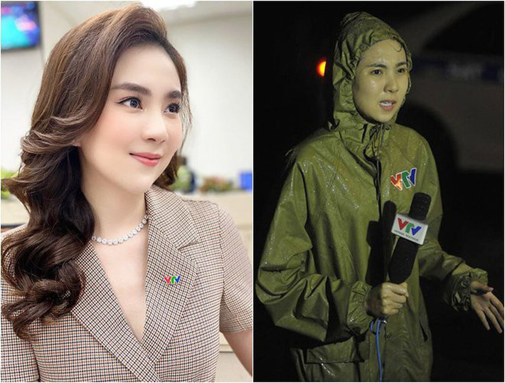 Mai Ngọc từng được gọi là "cô gái thời tiết" nổi tiếng nhất của VTV (Đài Truyền hình Việt Nam) thời điểm 2015.