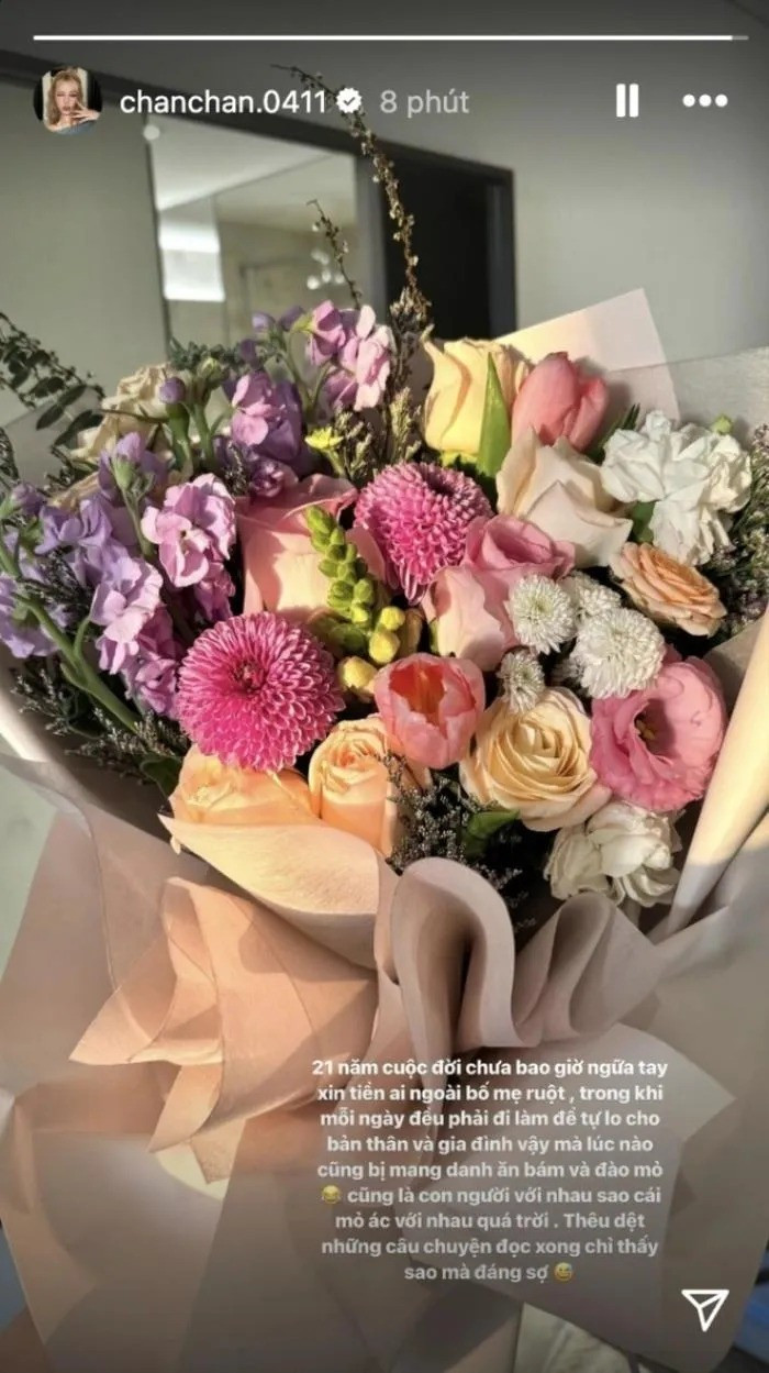 Trước loạt tin đồn tan vỡ gần đây, nhiều người bày tỏ sự đồng cảm với Xoài, tuy nhiên cũng nhiều người đã để lại những bình luận ác ý rằng cô đào mỏ. Đáp lại, nàng hot girl thẳng thắn chia sẻ rằng "21 năm cuộc đời chưa bao giờ ngửa tay xin tiền ai ngoài bố mẹ ruột".