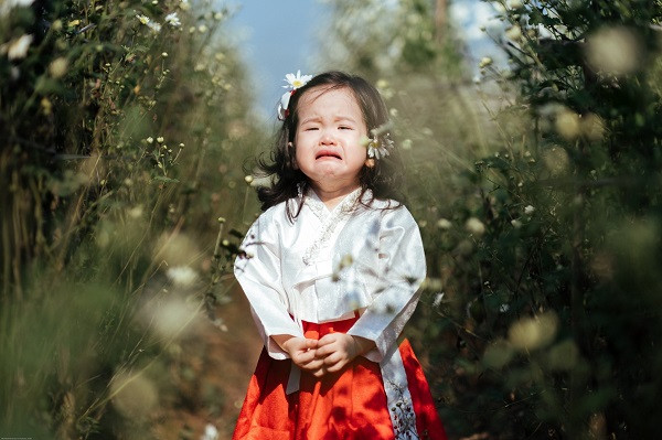 Chính bởi những biểu cảm dễ thương, đặc trưng của trẻ nhó đó mới là điểm nhấn trong bộ ảnh. Cứ thử nghĩ mà xem, một cô bé mếu máo, ngơ ngác nhìn xung quanh như đi lạc giữa vườn cúc hoạ mi chắc chắn sẽ đẹp hơn rất nhiều nhưng cô thiếu nữ tạo dáng quen thuộc có phần cứng thô bên hoa.
