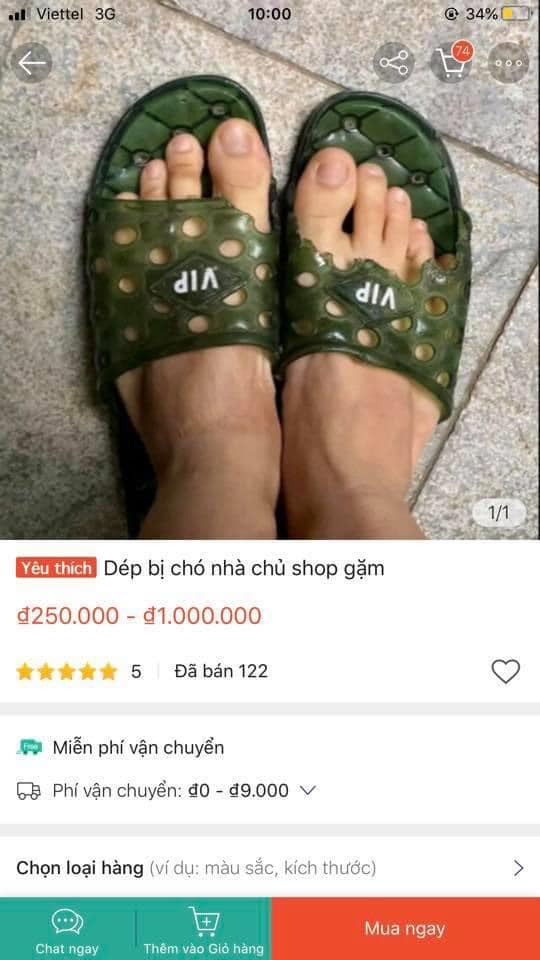 Mặc dù đôi dép nhựa rất rẻ tiền thậm chí còn bị cắn rách, nhưng sự khác biệt là có thêm dấu răng của Dúi idol nên đôi dép này bán với giá trị phải gấp 10 lần thông thường.