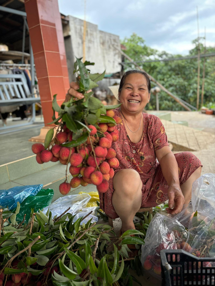 Năm nay vải khá được mùa nên mọi người trong nhà đều phấn khởi.