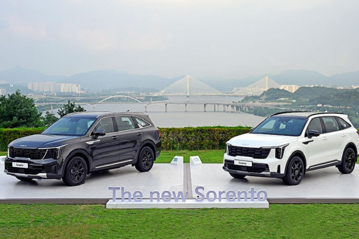 Kia đã chính thức giới thiệu phiên bản nâng cấp giữa vòng đời của dòng xe Sorento ở thị trường nội địa Hàn Quốc. Như vậy, mẫu xe này ra mắt chỉ vài ngày sau khi người anh em cùng tập đoàn Hyundai SantaFe 2024 trình làng. Tại thị trường Hàn Quốc, xe có 3 phiên bản và giá bán dao động từ 35,06 - 48,31 triệu Won (khoảng 623 - 859 triệu đồng). Giá xe Kia Sorento 2024 ngang SantaFe mới (35,46 - 47,64 triệu Won).