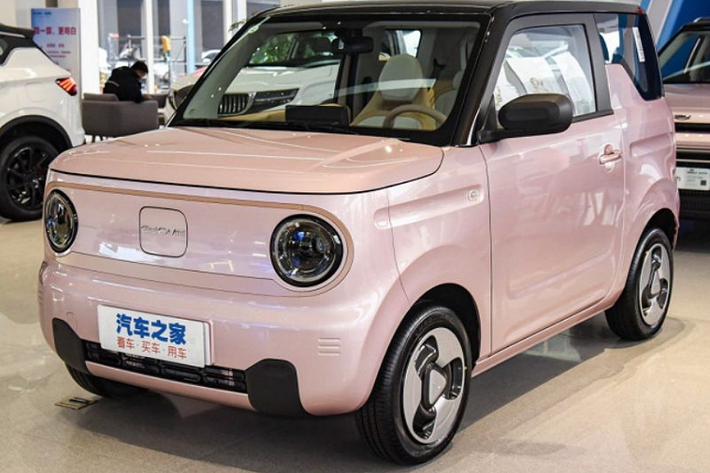 Mẫu xe Panda Mini EV đứng thứ 6 trong số các mẫu xe bán chạy của Geely trong năm qua dù mới ra mắt được khoảng nửa năm, thành công này đến từ thiết kế dễ thương, giá thành phù hợp với mọi đối tượng, khi chỉ từ 39.900 nhân dân tệ đến 59.900 nhân dân tệ.