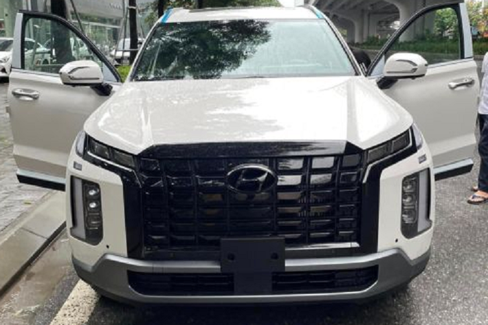 Được định vị ở phân khúc SUV cỡ E, trên Hyundai SantaFe một bậc, nhưng với mức giá hấp dẫn, Hyundai Palisade tại Việt Nam có thể sẽ thu hút cả những khách hàng của “người anh em” Santa Fe và những xe ở phân khúc cỡ D khác. Hyundai Palisade là một chiếc SUV được định vị cao cấp nhất trong đội ngũ những chiếc SUV Hyundai.