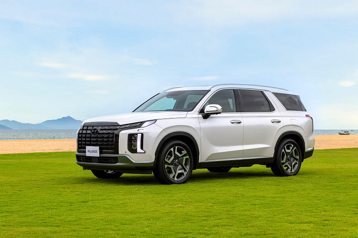 Cung cấp sức mạnh cho Hyundai Palisade là động cơ dầu R 2.2 (mã hiệu D4HB) cho công suất tối đa 200 mã lực tại 3.800 vòng/phút cùng Momen xoắn cực đại 440Nm ngay từ 1.750 vòng/phút. Đi kèm với động cơ này là hộp số tự động 8 cấp và hệ thống dẫn động 4 bánh thông minh HTRAC.