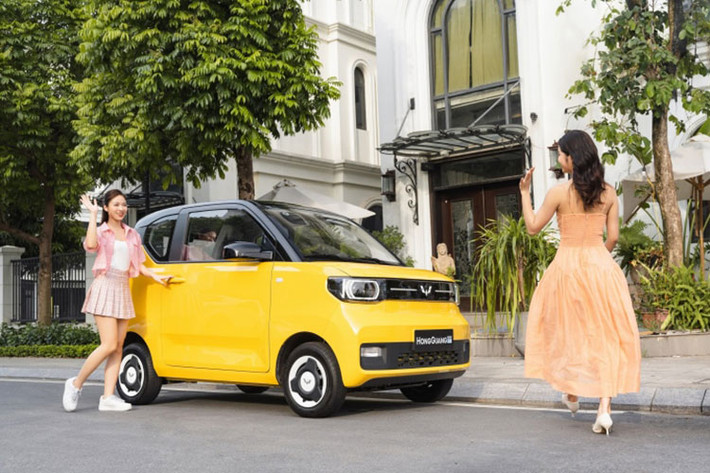 Sau khi được công bố, giá bán này bị nhiều người cho là quá cao so với những trang bị của xe. Wuling Hongguang Mini EV tại Việt Nam hiện do công ty TMT Motors lắp ráp. Theo kế hoạch, mẫu xe điện giá rẻ này sẽ bắt đầu được bàn giao cho khách hàng Việt Nam từ quý III năm nay.