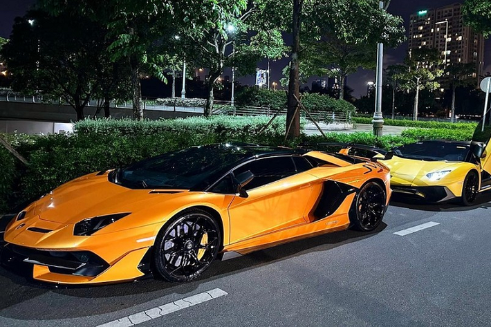 Dòng siêu xe Lamborghini Aventador hiện đã chính thức bị khai tử sau 12 năm có mặt trên thị trường, đây cũng là 1 trong 2 chú bò tót có nhiều phiên bản sản xuất giới hạn nhất, trong số này, các đại gia Việt chủ yếu chơi 2 bản giới hạn là Lamborghini Aventador SV và Lamborghini Aventador SVJ đều có đầy đủ bản Coupe và Roadster được mang về nước.