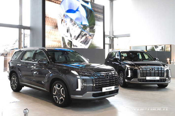 Giá xe Hyundai Palisade ở Việt Nam chưa được công bố. Tuy nhiên, theo tin đồn, xe sẽ có giá dao động trong khoảng 2 tỷ đồng, rẻ hơn Ford Explorer (2,399 tỷ đồng) và Volkswagen Teramont (2,499 tỷ đồng).