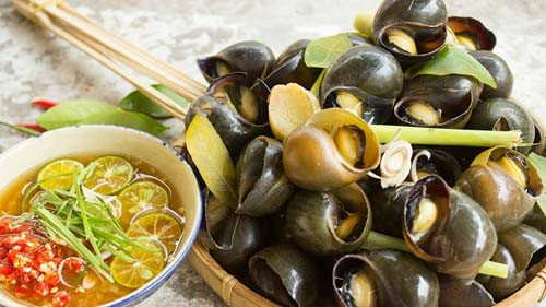 Một lý do khác nên thận trọng các món từ ốc ở quán ăn là vấn đề vệ sinh khó đảm bảo. Phục vụ lượng lớn ốc mỗi ngày, nhân viên khó có thể làm sạch từng con một. Việc làm sạch sơ sài càng khiến món ăn “mất điểm”.