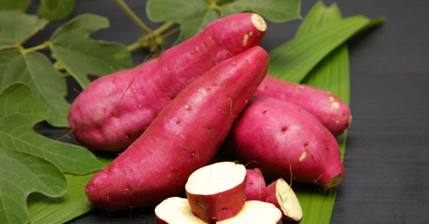 Nhiều người vẫn nghĩ khoai lang ngọt không tốt cho người có bệnh tiểu đường, tuy nhiên Hiệp hội Tiểu đường Mỹ khẳng định lợi ích của khoai lang với căn bệnh này. Theo Hiệp hội này, lượng đường tự nhiên và chất xơ trong khoai lang làm giảm kháng isulin hiệu quả, giúp ổn định lượng đường trong máu. Nếu bạn bị tiểu đường, đừng bỏ qua lợi ích tuyệt vời này của khoai lang.