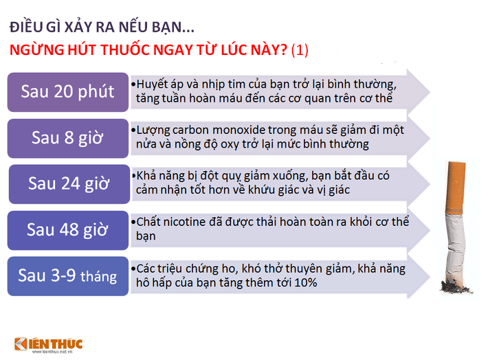 Đừng nghĩ rằng bạn đã hút thuốc lâu năm và việc cai thuốc bây giờ đã là quá muộn. Có thể bạn không ngờ rằng, ngay từ khi ngừng hút thuốc, các tế bào trong cơ thể đã bắt đầu có cơ hội phục hồi và chỉ sau 48 giờ, chất nicotine đã được loại bỏ hoàn toàn ra khỏi cơ thể.