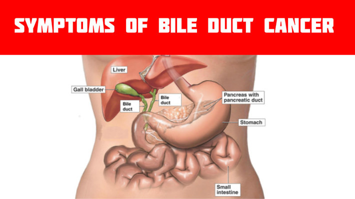 Ống mật đóng vai trò rất quan trọng trong các hoạt động tiêu hóa. Nếu như bạn bị viêm ống mật thì nguy cơ bệnh càng tăng cao. Hãy tỉnh táo nhận biết những triệu chứng của loại ung thư này và cẩn thận trong lối sống của bạn.