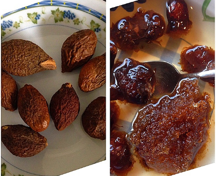 Không chỉ hữu ích ở Việt Nam, ở Lào, cây đười ươi còn là loại cây có giá trị xuất khẩu chỉ sau cây cà phê. Ảnh nguyentrancoop.