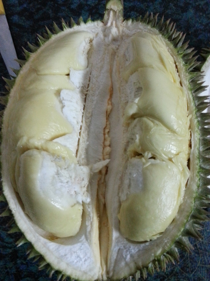 Loại sầu riêng có cái tên rất lạ này có thể sử dụng theo nhiều hình thức khác nhau như ăn trực tiếp, dùng làm bánh, làm nước uống, dùng làm món tráng miệng... Ảnh betterlifecmc.