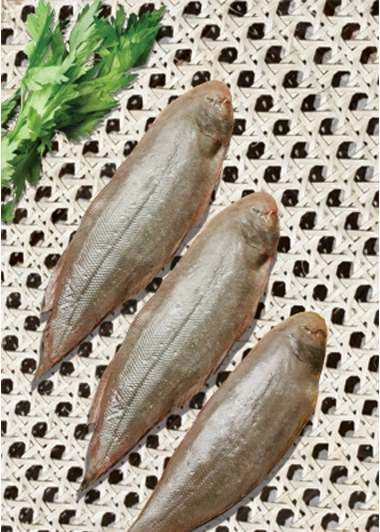 Cá lưỡi trâu có thịt thơm ngon và được thưởng thức theo nhiều cách khác nhau như: ăn tươi, làm mắm, đông lạnh, phơi khô. Ảnh all.