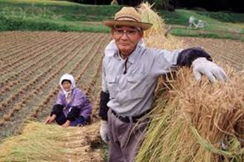 Họ không dành thời gian ngồi nhiều trước màn hình tivi, thậm chí một số còn học cách dùng internet, chọn một sở thích mới như đan len, đi du lịch hoặc làm việc, đi học trở lại. Bởi một bộ não nhàn rỗi có thể dẫn đến các vấn đề sức khỏe hoặc thậm chí là tử vong.