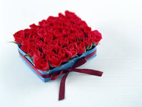Hoa hồng. Trong số tất cả những loài hoa chữa bệnh và ăn được, hoa hồng là phổ biến nhất. Hoa hồng được dùng để chữa trị các bệnh viêm khớp, khó tiêu, sốt, táo bón và các vấn đề tiết niệu.