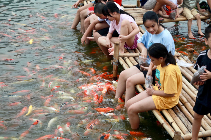 Ngồi trên chiếc cầu tre, các em nhỏ thoả thích khi được trực tiếp cho cá ăn và ngâm chân dưới dòng nước mát.