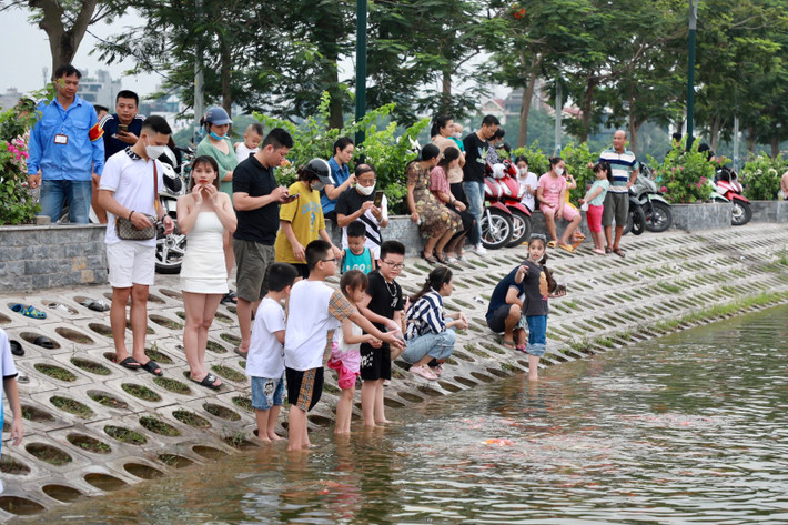 Tại khu vực này luôn có bảo vệ túc trực để đảm bảo an toàn cho người dân và cũng tránh việc bắt trộm cá.