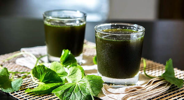 Khi bị nóng gan, bạn có thể uống nước rau má. Đây là loài cây nổi tiếng với công dụng làm mát cơ thể, giải độc, lợi tiểu, chống viêm… Ảnh: giammoantoan.