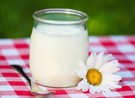 Sữa chua. Sữa chua có chứa protein và carbohydrate. Các vi khuẩn probiotic có trong sữa chua tích cực đấu tranh chống lại các triệu chứng mệt mỏi. Ngoài ra, sữa chua cũng là một nguồn tốt giúp tăng cường năng lượng và cải thiện sức khỏe tiêu hóa.