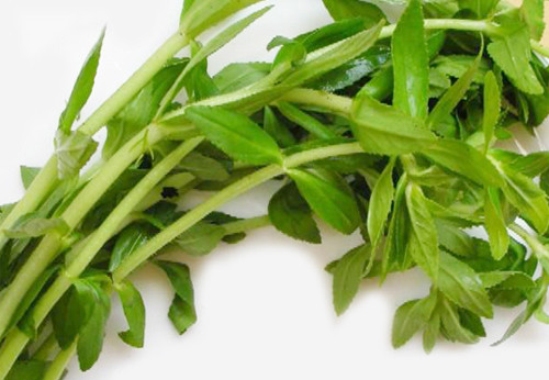 Rau ngổ. Rau ngổ còn gọi là cây rau om, ngổ trâu, thường mọc hoang ở ruộng nước, vùng lầy, có tác dụng trị sỏi thận, rắn cắn, đầy hơi, sổ mũi, viêm tấy đau nhức…