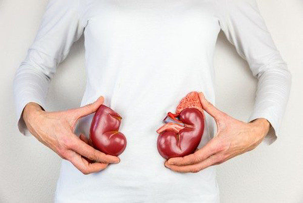 Ngoài việc chỉ ra các hành động “ngược đãi” thận, chuyên gia còn nhấn mạnh dấu hiệu suy thận dưới đây. Phát hiện các vấn đề về thận để can thiệp, điều trị kịp thời có ý nghĩa quan trọng trong việc chăm sóc sức khỏe.