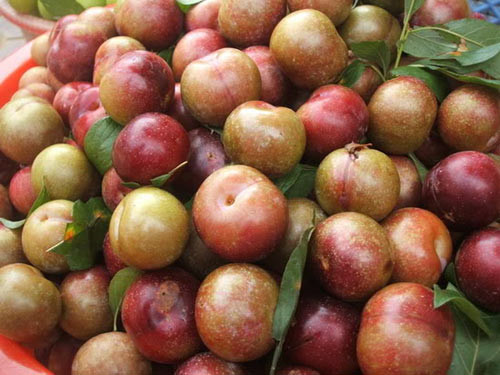 Mận là một trong số ít những hoa quả không chứa cholesterol, natri và chất béo nên có thể trở thành quà vặt cho những muốn giảm cân.